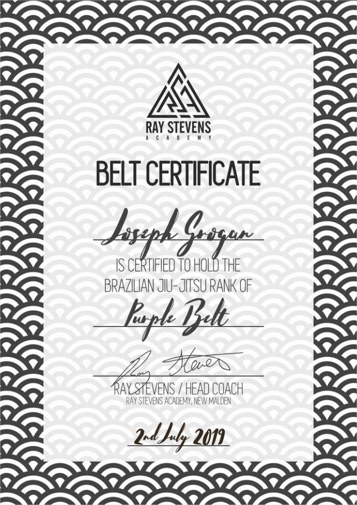 Purple belt · July 2, 2019 · Promoted by Ray Stevens