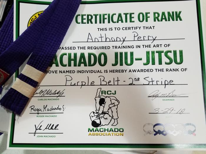 Purple belt · May 1, 2015 · Promoted by Anthony Bernabeo