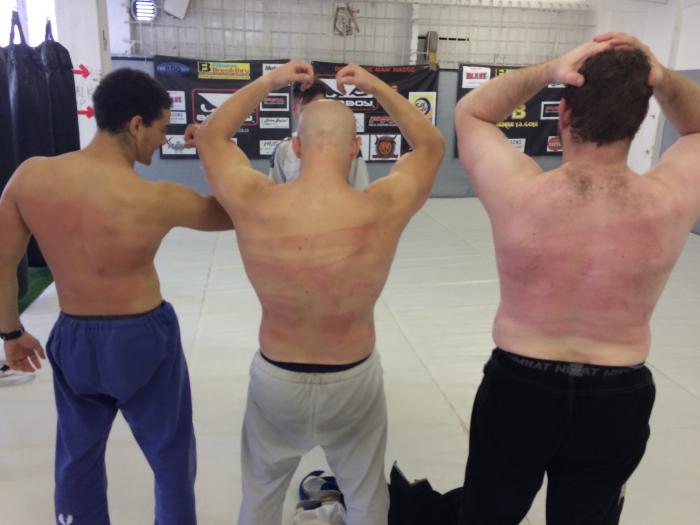 Purple belt · January 10, 2015 · Promoted by Brandon Hoffman