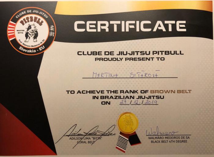 Brown belt · December 27, 2019 · Promoted by Professor Walmaro Medeiro de Sá Black belt 4th degree, Professor & Coach Martin Minár.