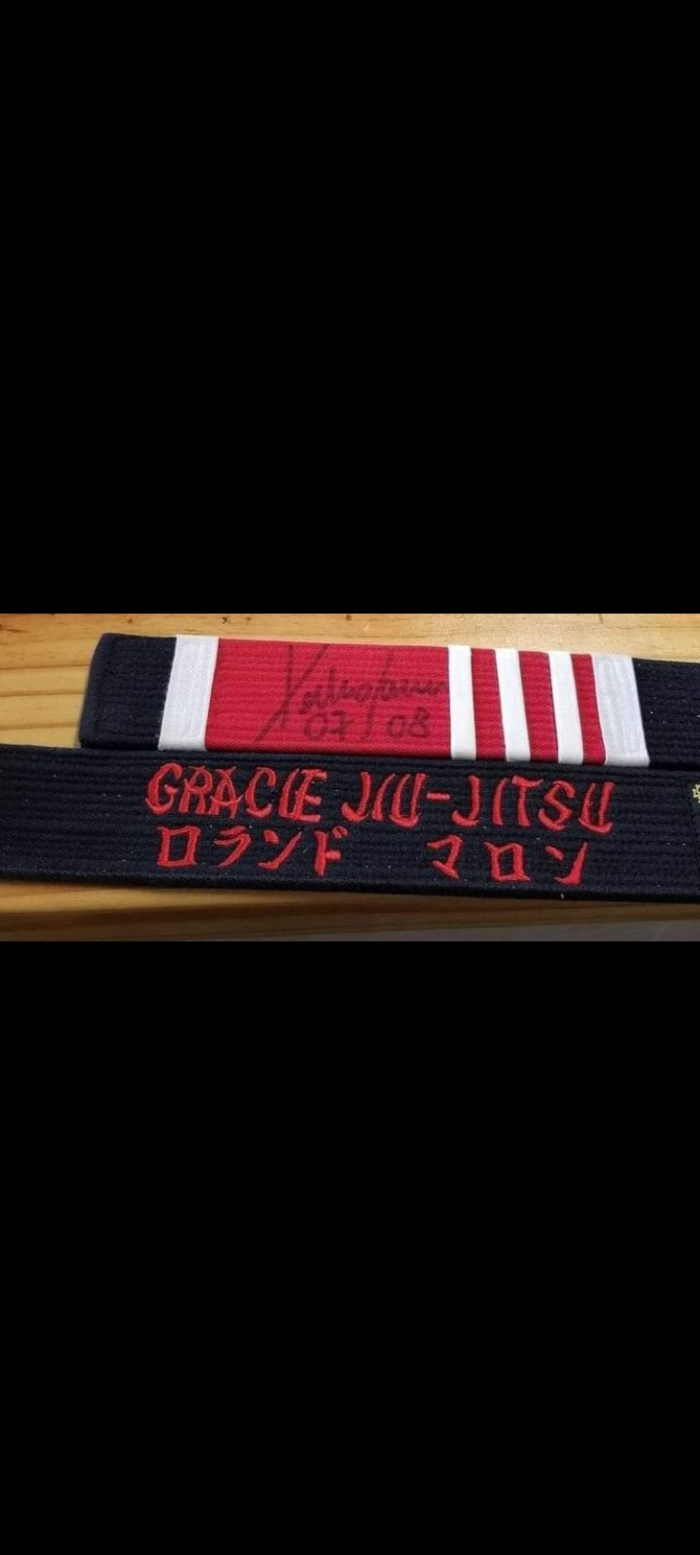 Black belt 2nd degree · July 18, 2014 · Promoted by Pedro Sauer