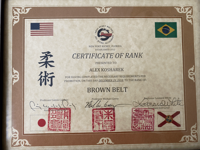 Brown belt · December 29, 2018 · Promoted by Michael Geery
