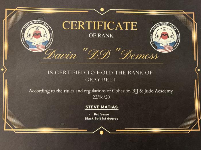 Gray belt · June 20, 2022 · Promoted by Steven Matias