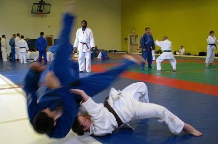 Judo Seminar