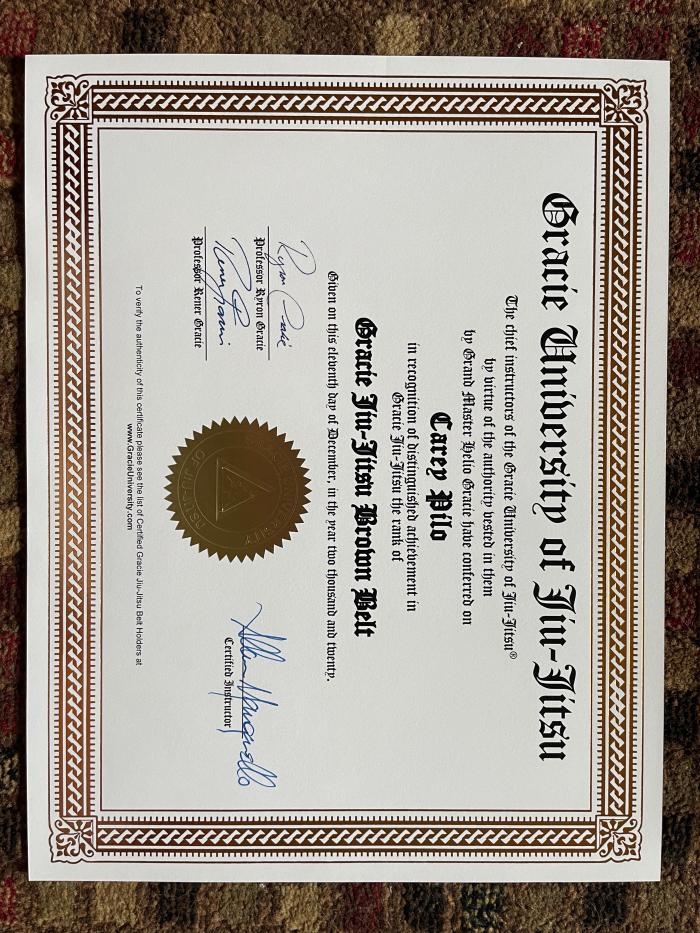 Brown belt · December 11, 2020 · Promoted by Allan Manganello