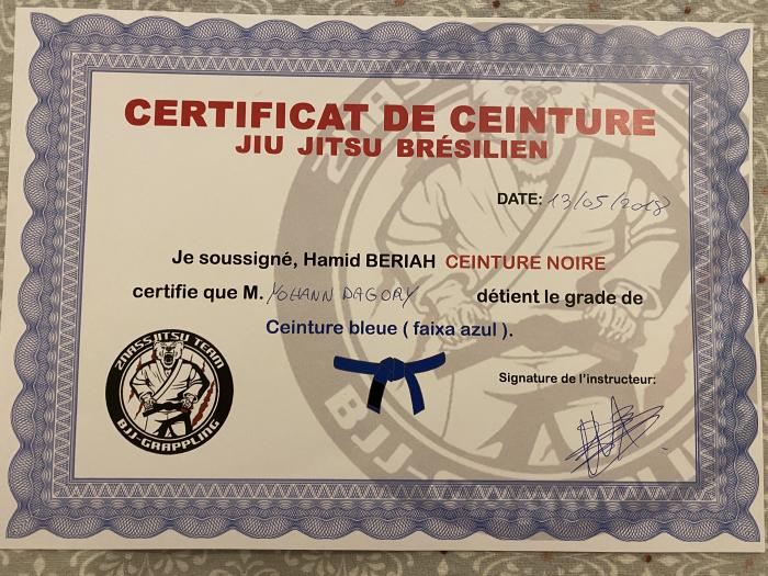 Blue belt · May 13, 2018 · Promoted by Hamid Beriah