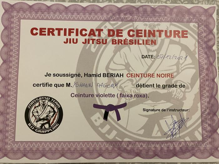 Purple belt · December 7, 2021 · Promoted by Hamid Beriah