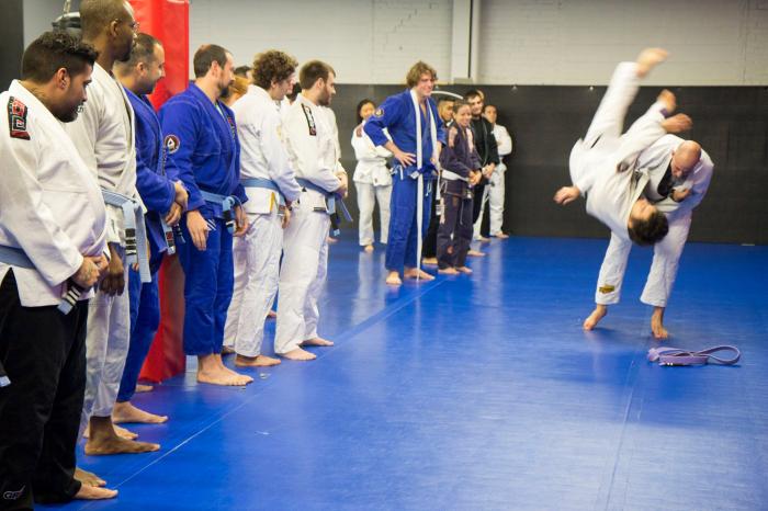 Brown belt promotion (Nov. 2015)