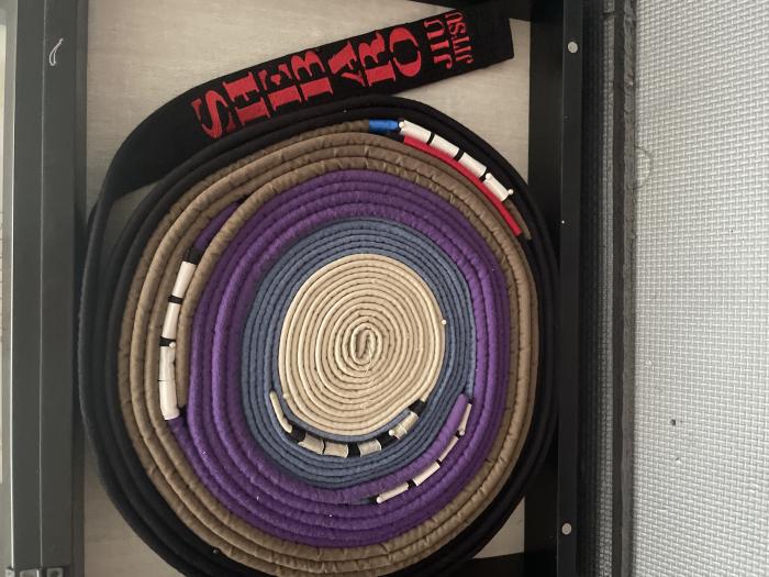 Black belt · April 15, 2021 · Promoted by Alan Shebaro
