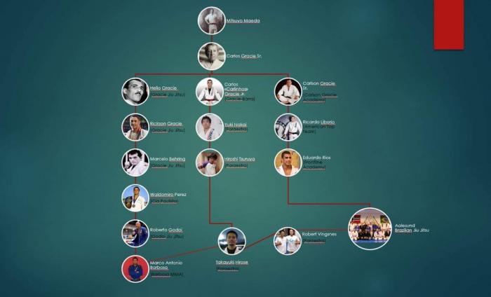 My BJJ lineage.