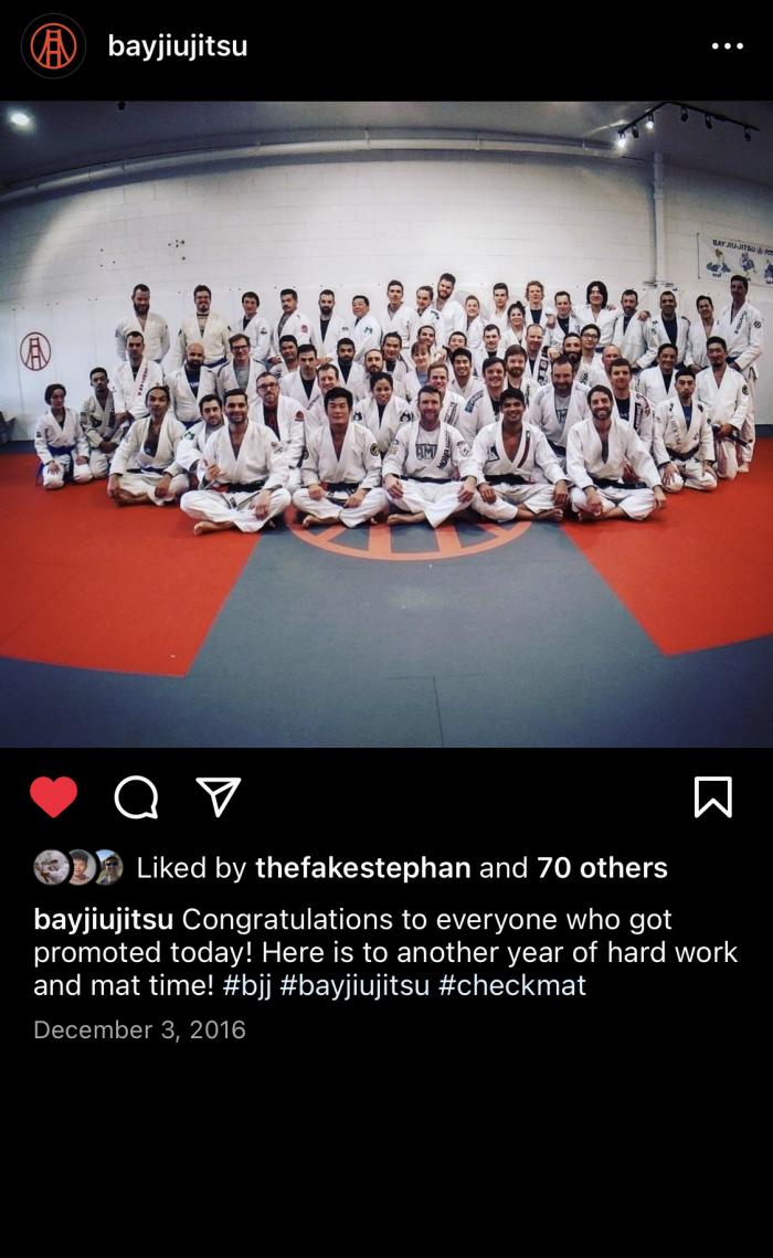 Brown belt · December 3, 2016 · Promoted by Stephan Goyne