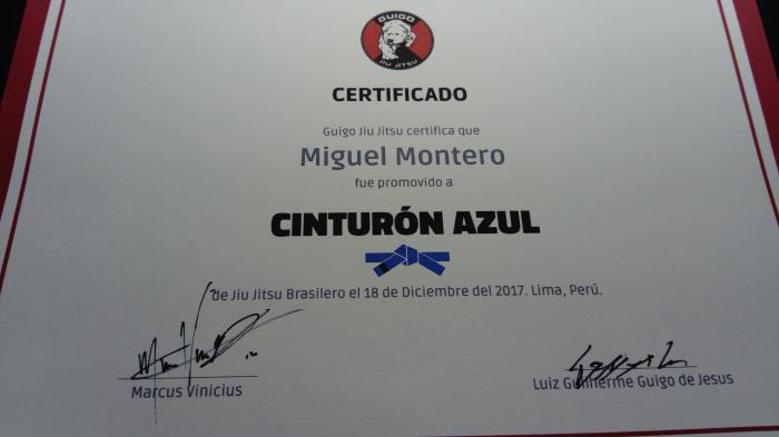 Blue belt · December 19, 2017 · Promoted by Marcus "Vini" Vinícius