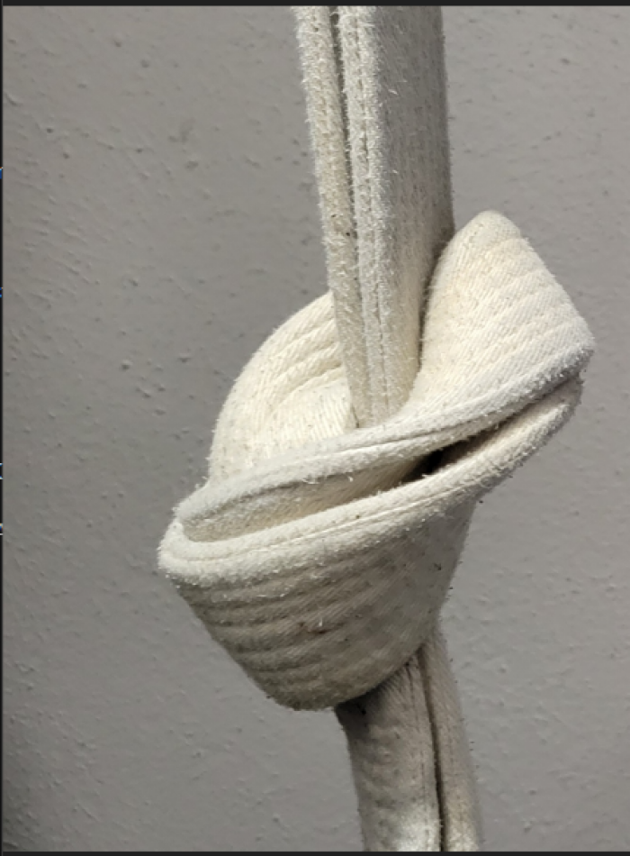 White belt · April 1, 2016