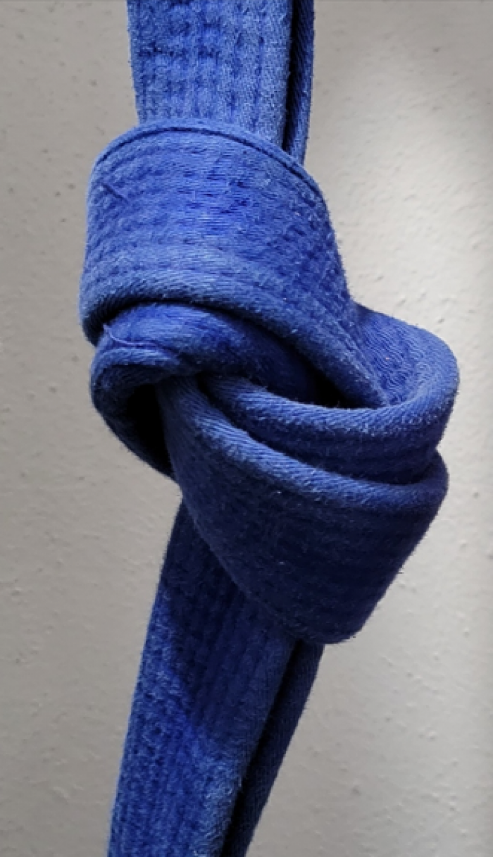 Blue belt · October 5, 2017 · Promoted by Alan Shebaro