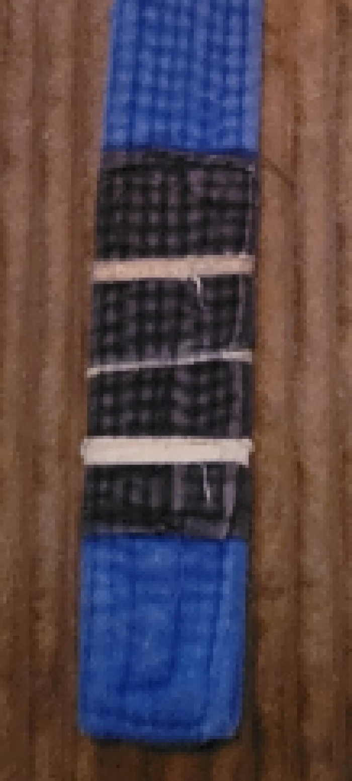 Blue belt · October 5, 2017 · Promoted by Alan Shebaro