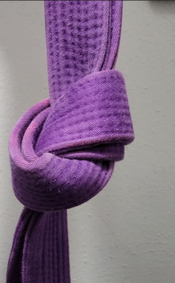 Purple belt · September 12, 2019 · Promoted by Alan Shebaro