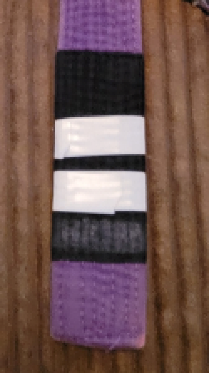 Purple belt · September 12, 2019 · Promoted by Alan Shebaro