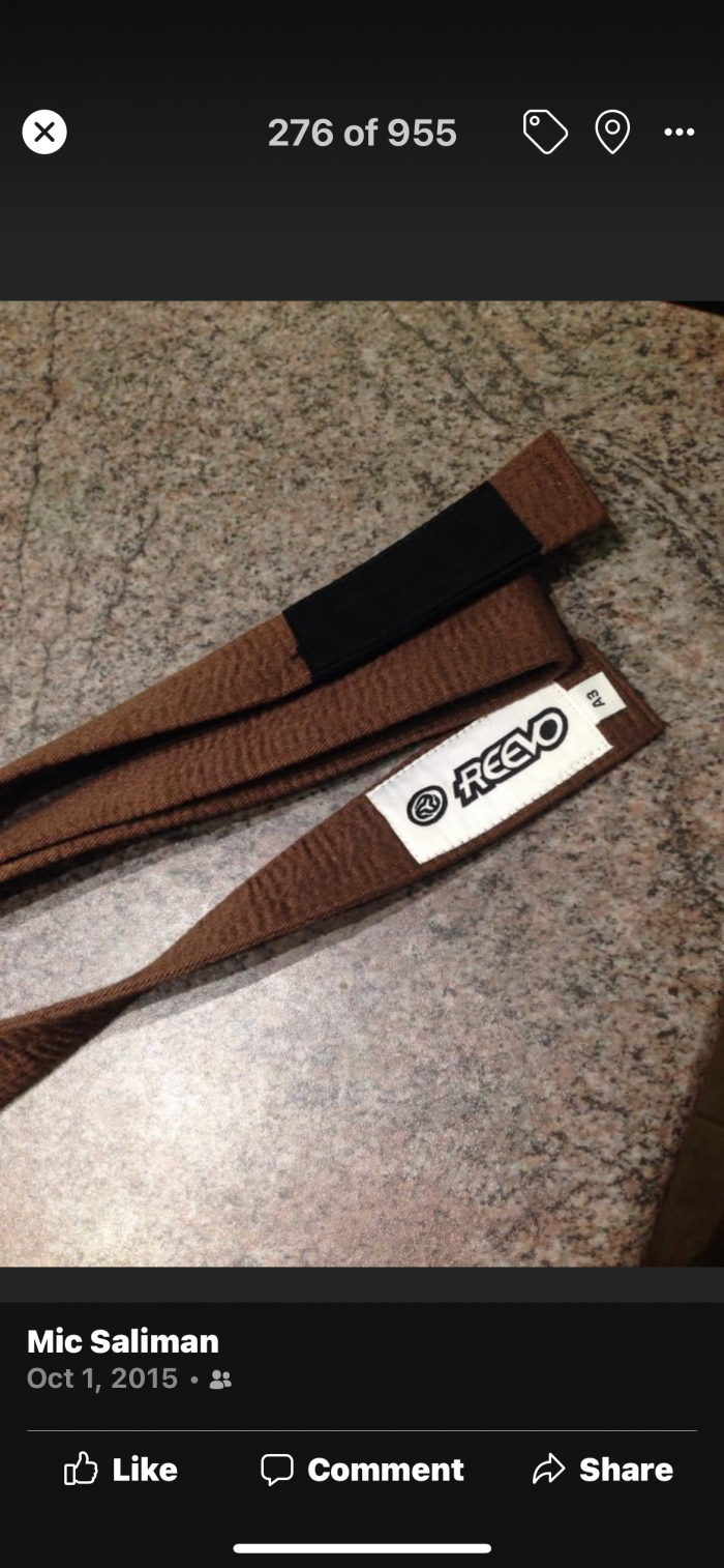 Brown belt · October 15, 2015 · Promoted by Dragan Konjevic