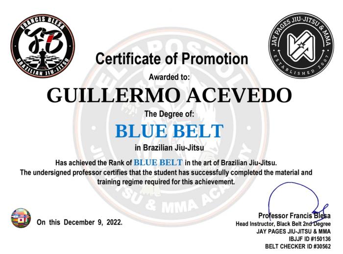 Blue belt · December 9, 2022 · Promoted by Francisco Blesa