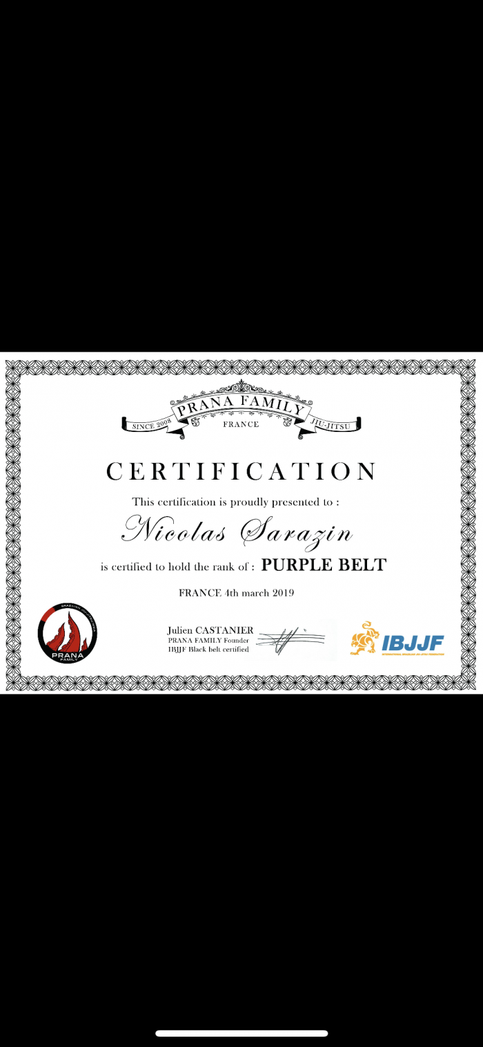 Purple belt · March 4, 2019 · Promoted by Julien Castanier