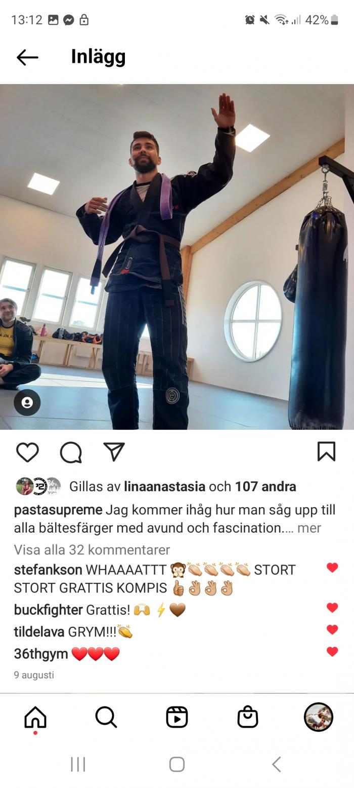 Brown belt · August 8, 2022 · Promoted by Erik Friberg