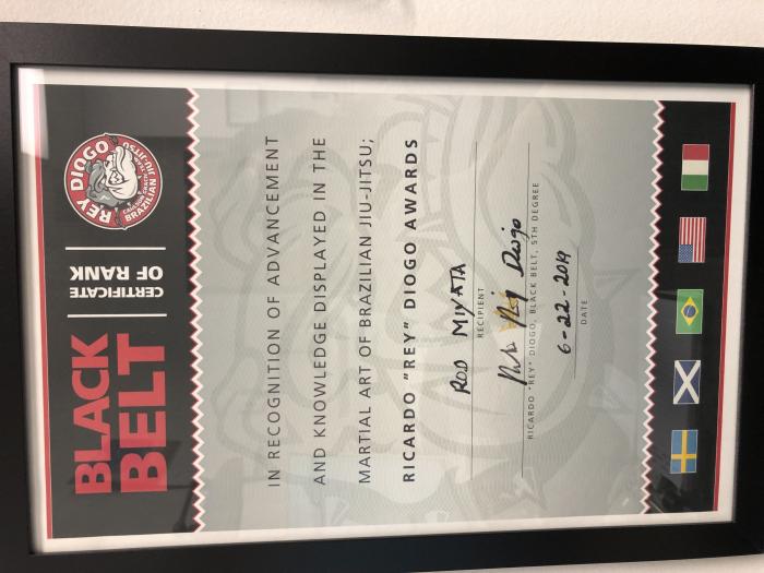 Black belt · June 22, 2019 · Promoted by Ricardo Rey Diogo
