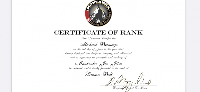 Brown belt · June 3, 2015 · Promoted by Daniel De Lima