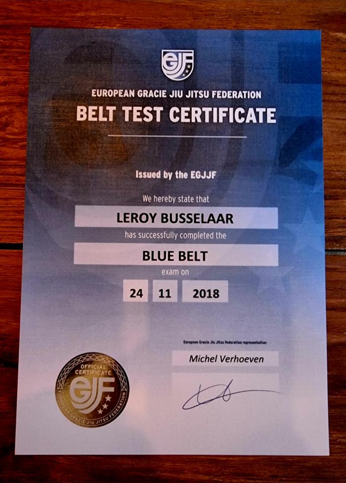 Blue belt · November 24, 2018 · Promoted by Harold Harder