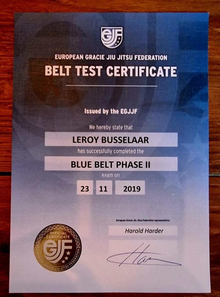 Blue belt · November 24, 2018 · Promoted by Harold Harder
