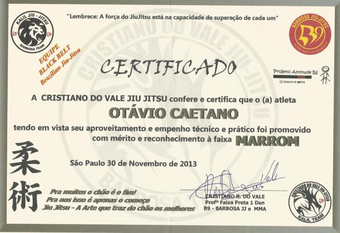 Brown belt · November 30, 2013 · Promoted by Cristiano R. do Vale