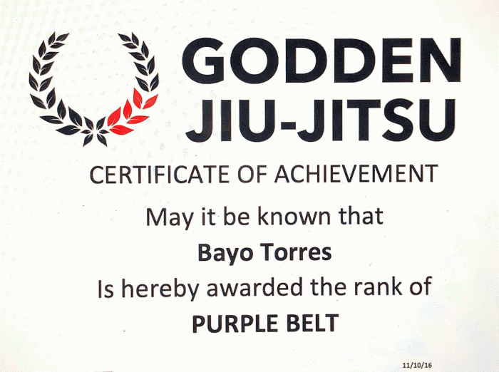 Purple belt · November 9, 2016 · Promoted by Mattew Godden