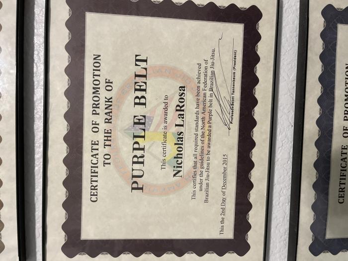 Purple belt · December 2, 2015 · Promoted by Scott Tannenbaum