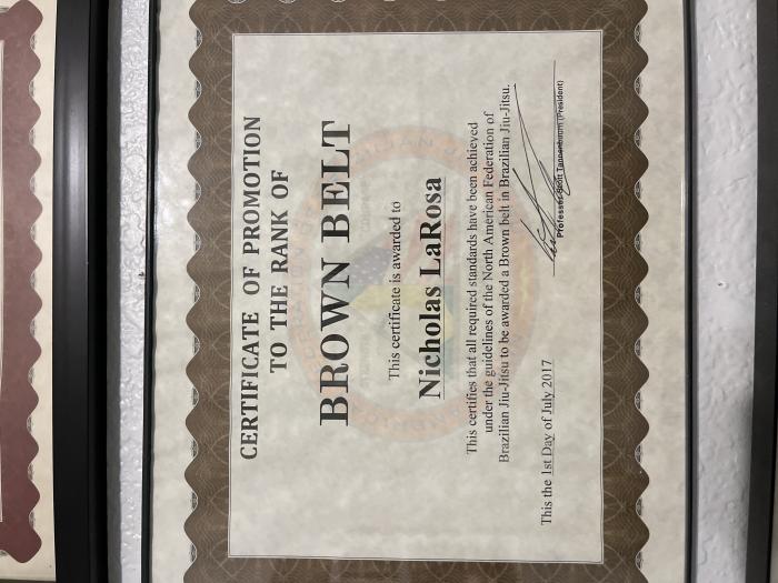 Brown belt · July 1, 2017 · Promoted by Scott Tannenbaum