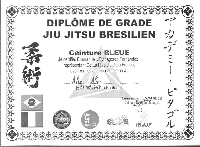 Blue belt · September 23, 2018 · Promoted by Emmanuel Fernandez