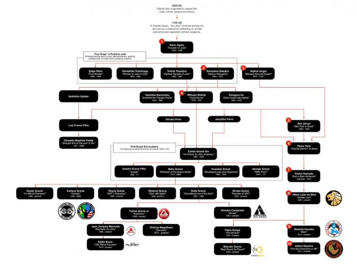 Lineage chart