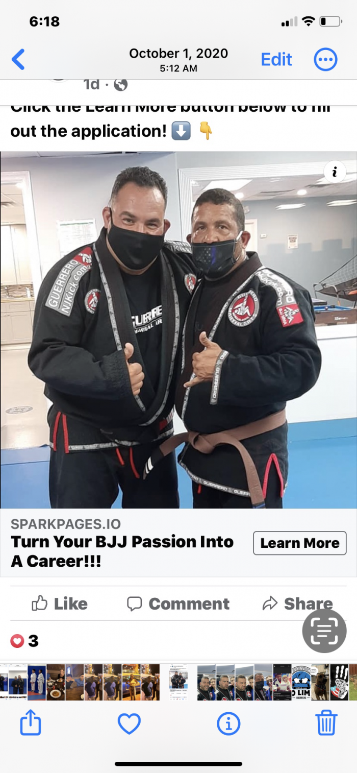 Brown belt · January 2, 2018 · Promoted by Johnny Guerrero