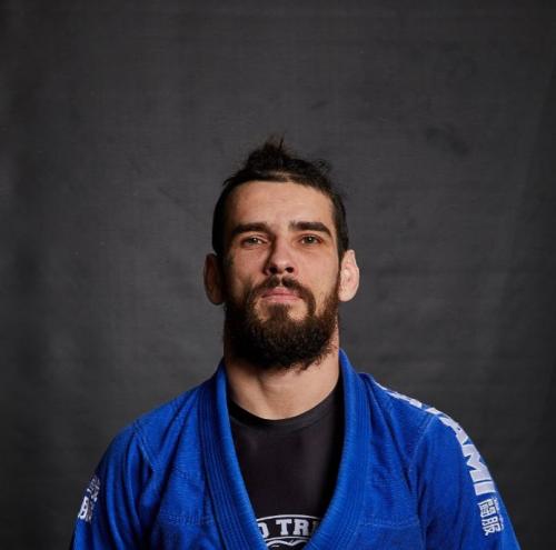 Vladimir Kuchmistyi