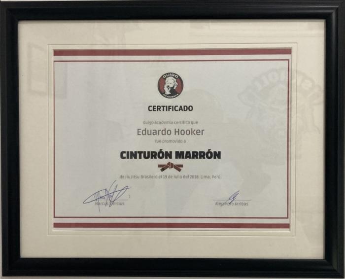 Brown belt · July 19, 2018 · Promoted by Marcus Vinicius