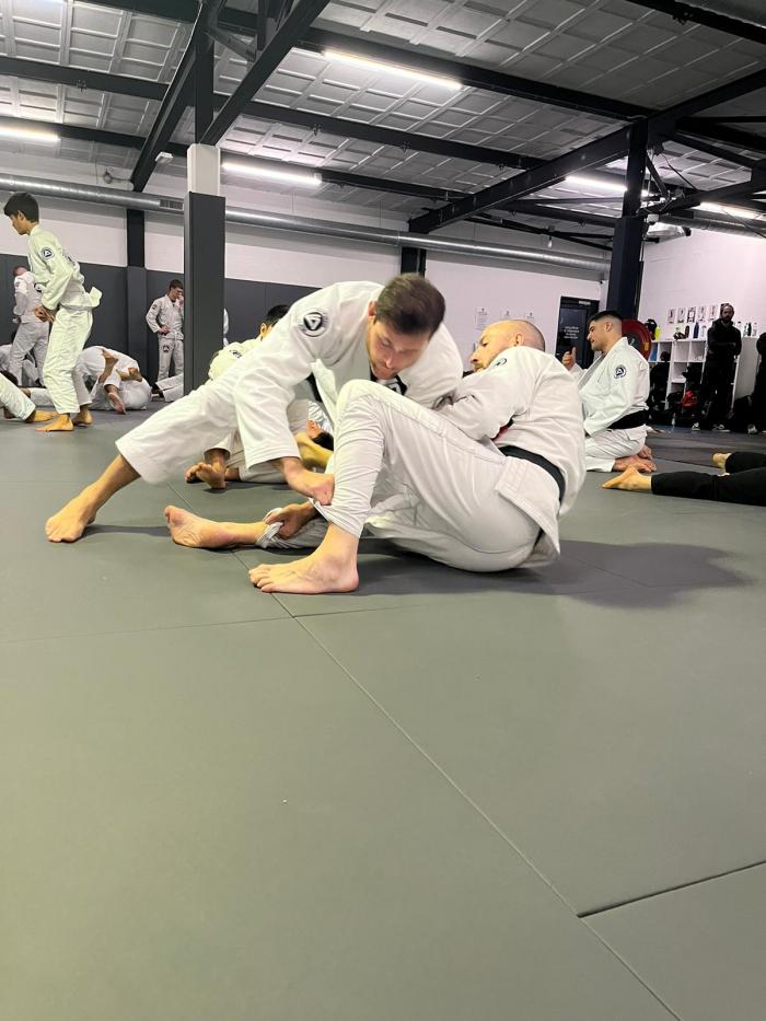Goat training