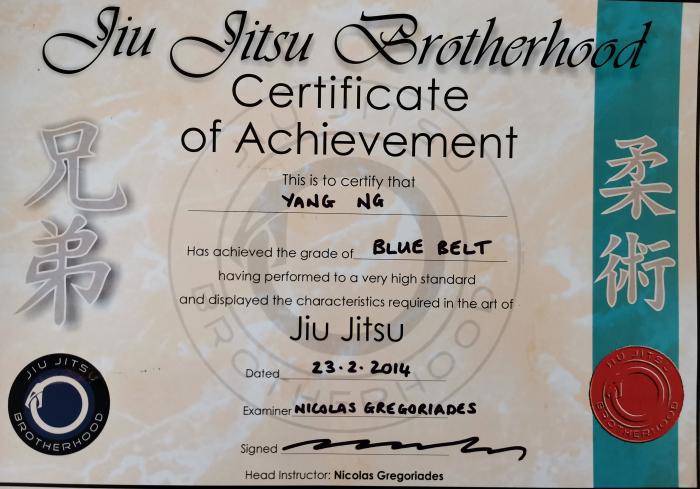 Blue belt · February 23, 2014 · Promoted by Nicolas Gregoriades