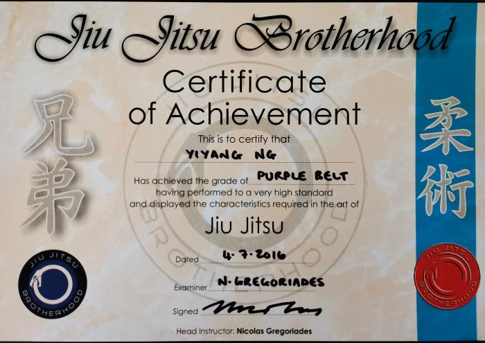 Purple belt · July 4, 2016 · Promoted by Nicolas Gregoriades