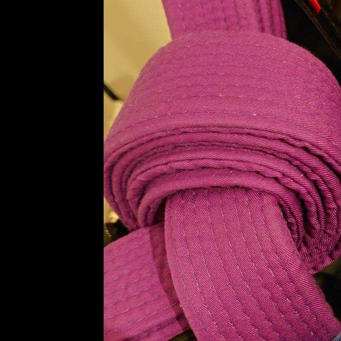 Purple belt · December 17, 2022 · Promoted by Steven Antoniou