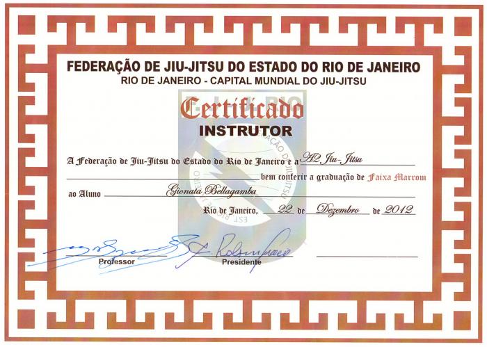 Brown belt · December 22, 2012 · Promoted by Helio Soneca