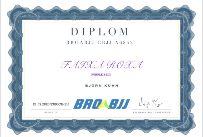 Purple belt · July 21, 2020 · Promoted by Felipe Thiago Pereira da Silva