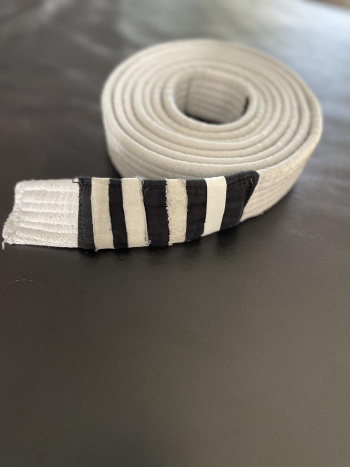 White belt · February 8, 2021
