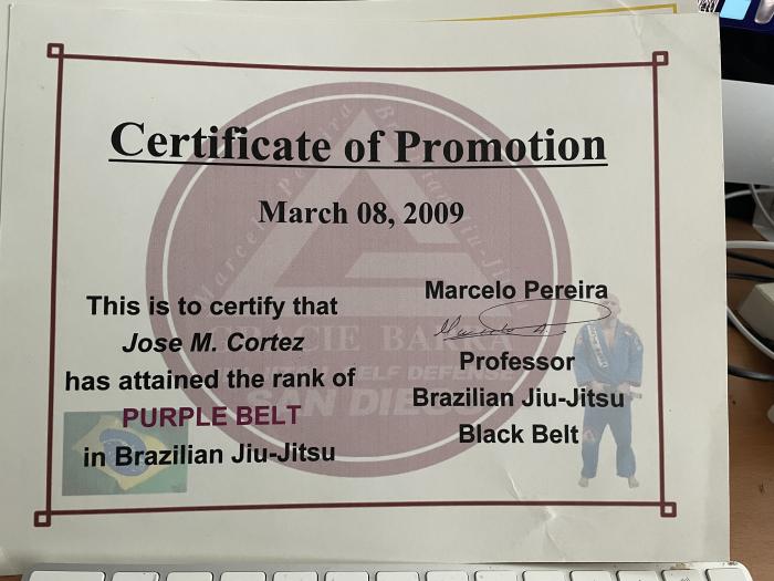 Purple Belt Promotion