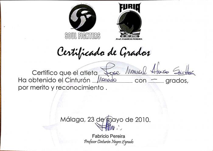 Purple belt · May 23, 2010 · Promoted by Fabricio Pereira