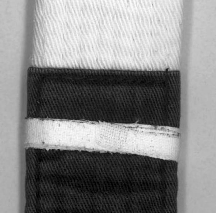 White belt · June 1, 2014