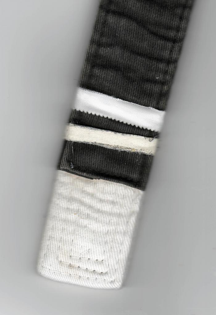 White belt · June 1, 2014