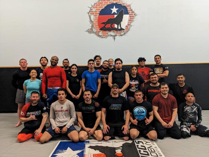 Briggs MMA